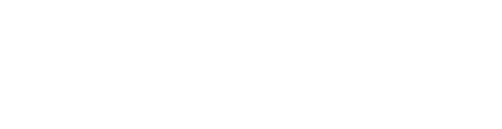 Vestidos & Faldas Company
